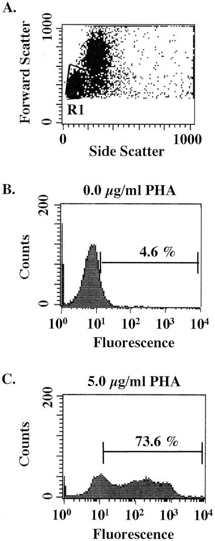 FIG. 4.