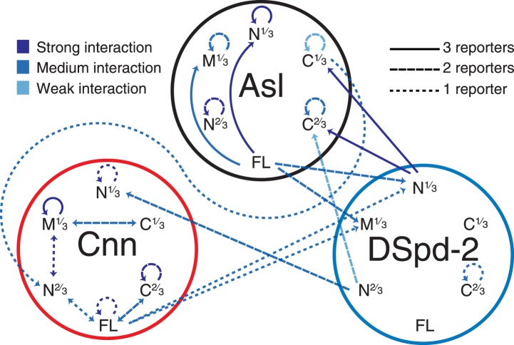 Figure 6.