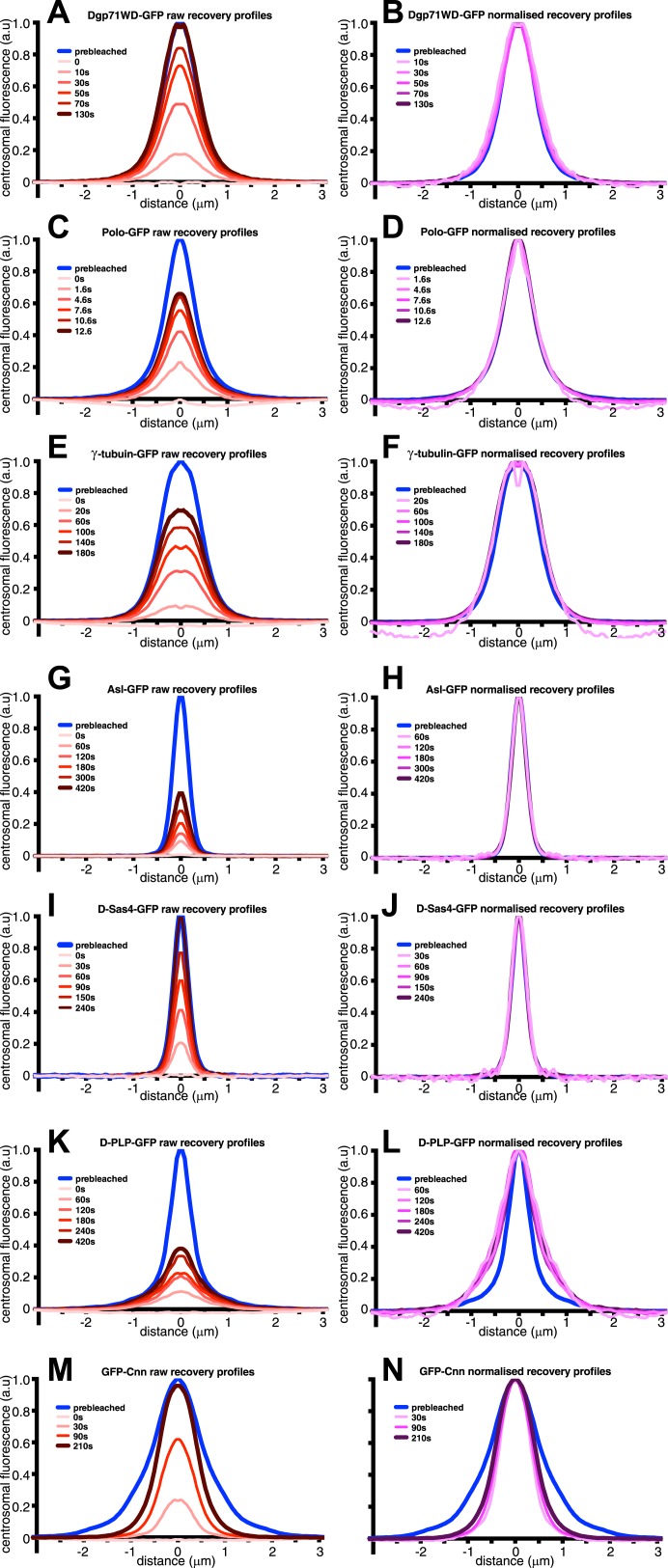 Figure 1—figure supplement 2.