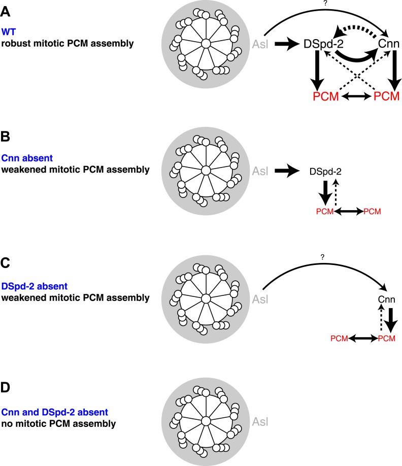 Figure 10.