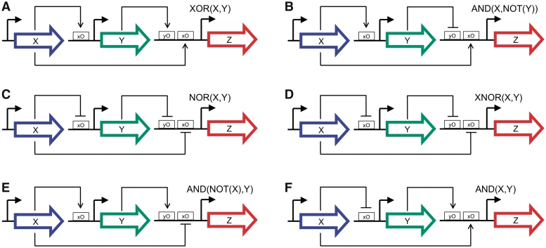 Figure 2.