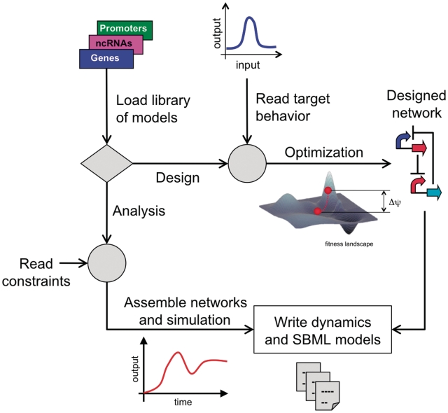 Figure 1.