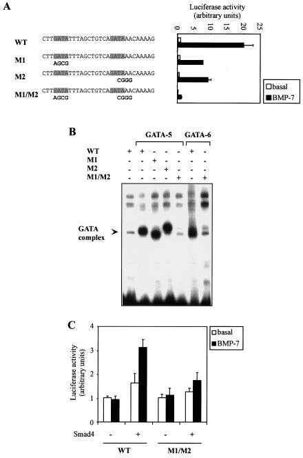 FIG. 4.