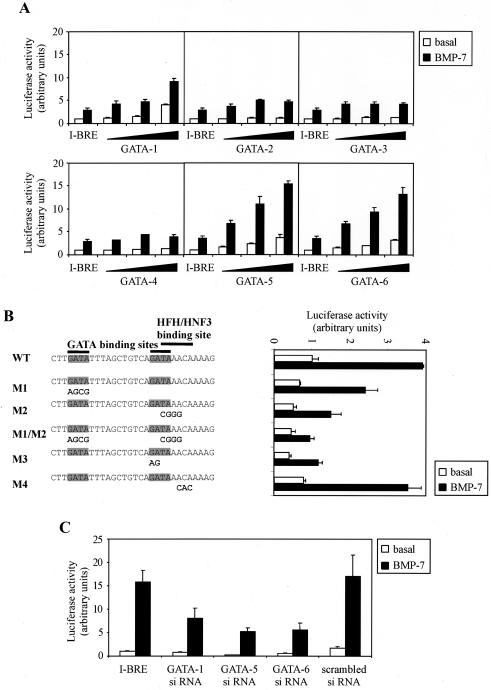 FIG. 6.