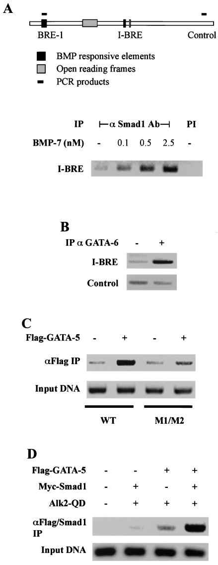 FIG. 5.