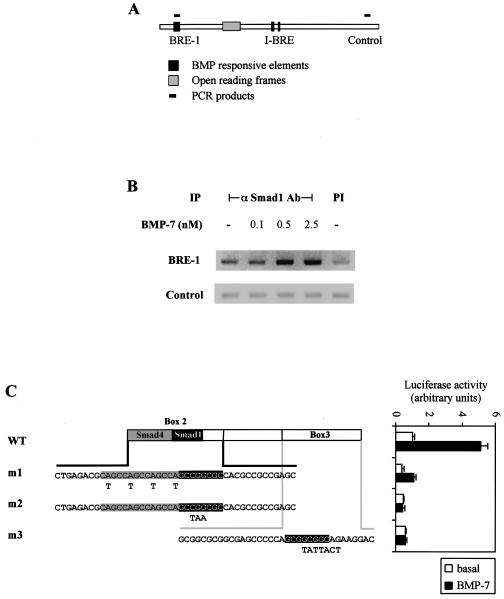 FIG. 3.