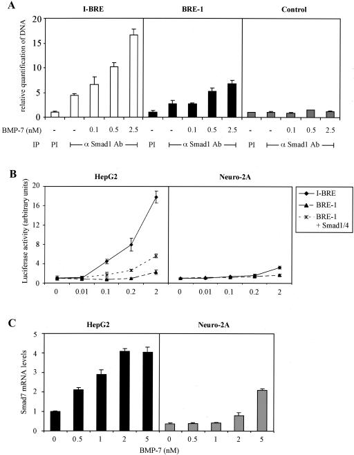 FIG. 8.