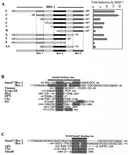 FIG. 2.