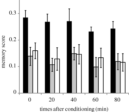 Figure 2.