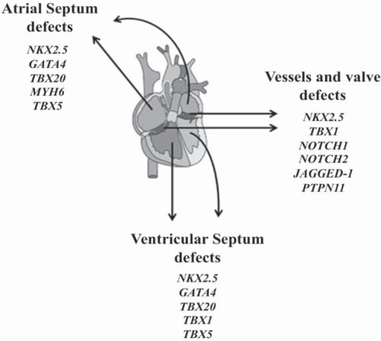 Fig. (1)