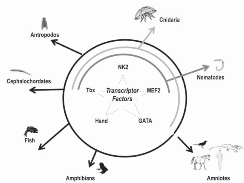 Fig. (2)