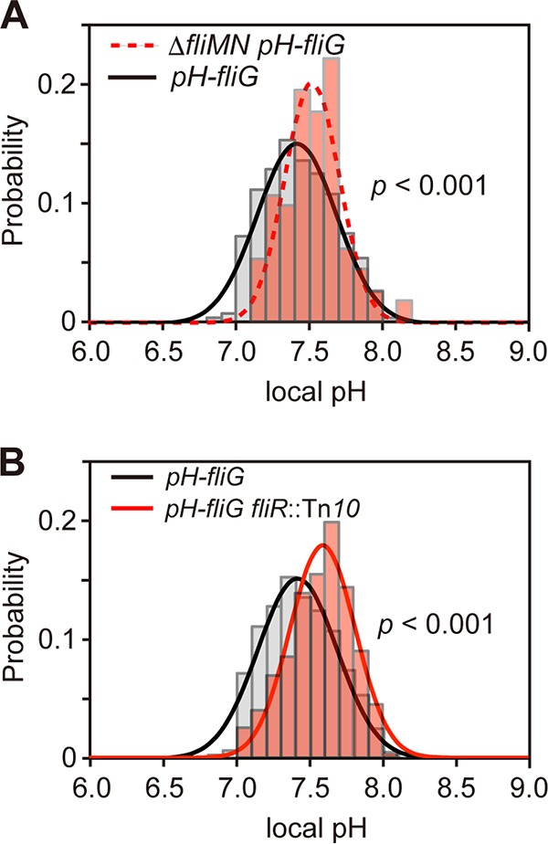 FIG 3 