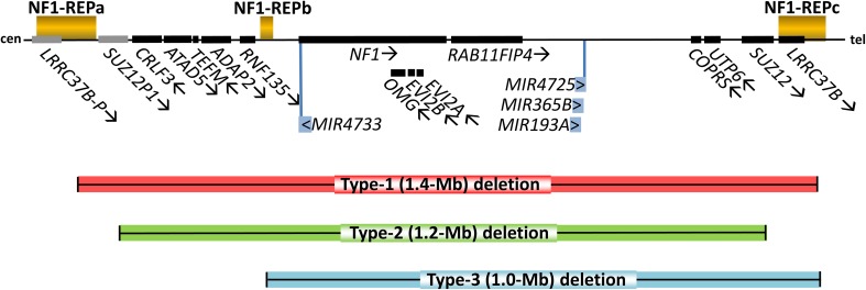 Fig. 1