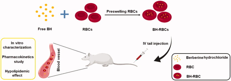 Figure 1.