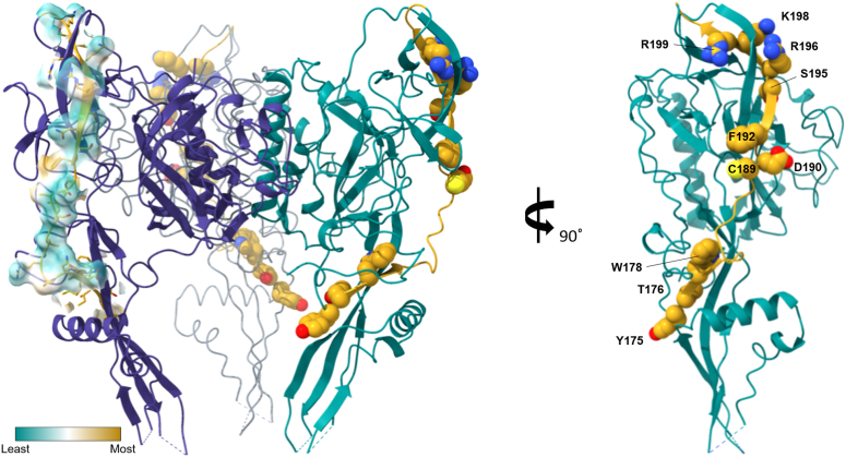 Figure 1