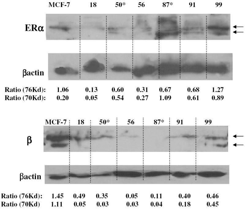 Fig. 7: