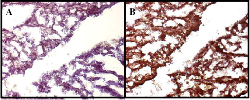 Fig. 3: