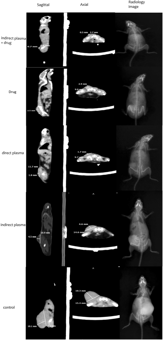 Figure 10