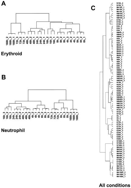 FIG. A2.