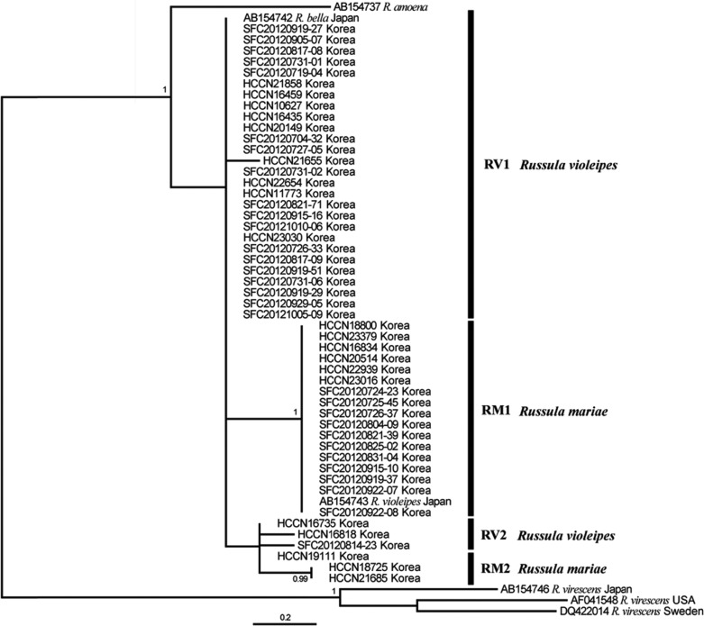 Fig. 6