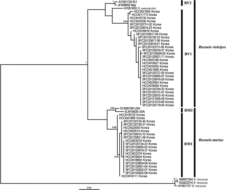 Fig. 4