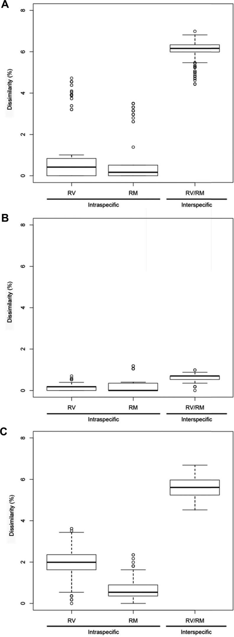 Fig. 8