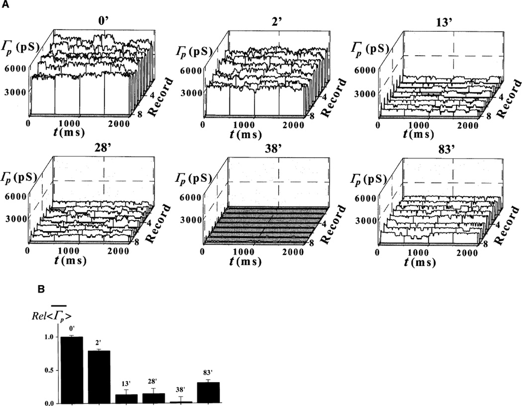 Fig. 3