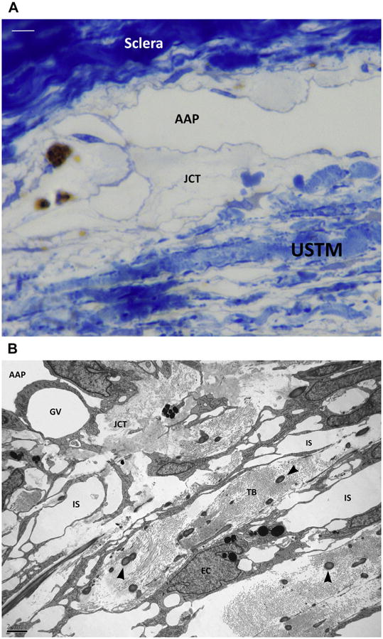 Fig. 9