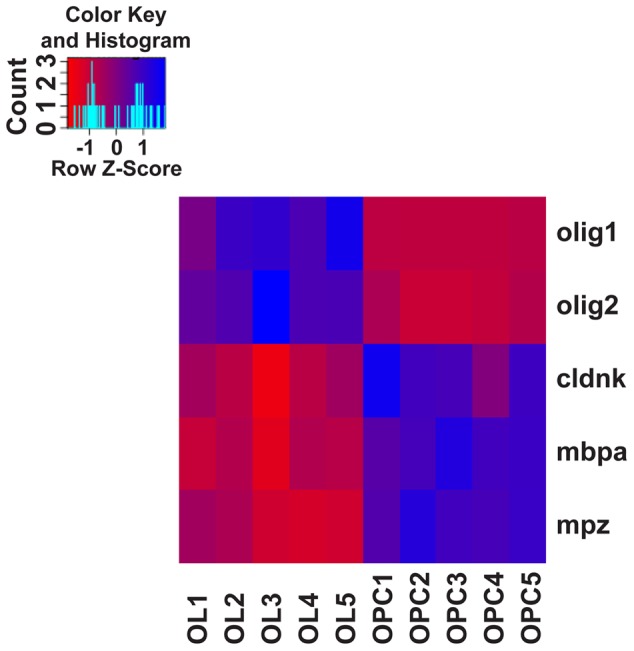 FIGURE 5