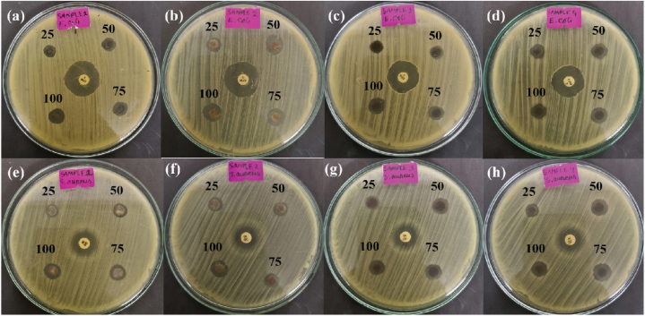 Fig. 12