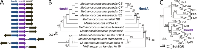 FIG. 2.