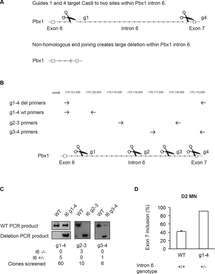 Figure 5—figure supplement 1.