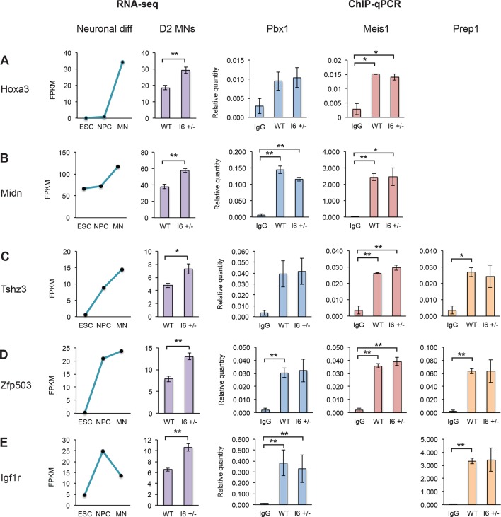 Figure 6—figure supplement 1.