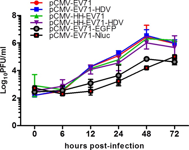 Fig 5