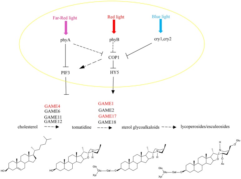 Figure 9