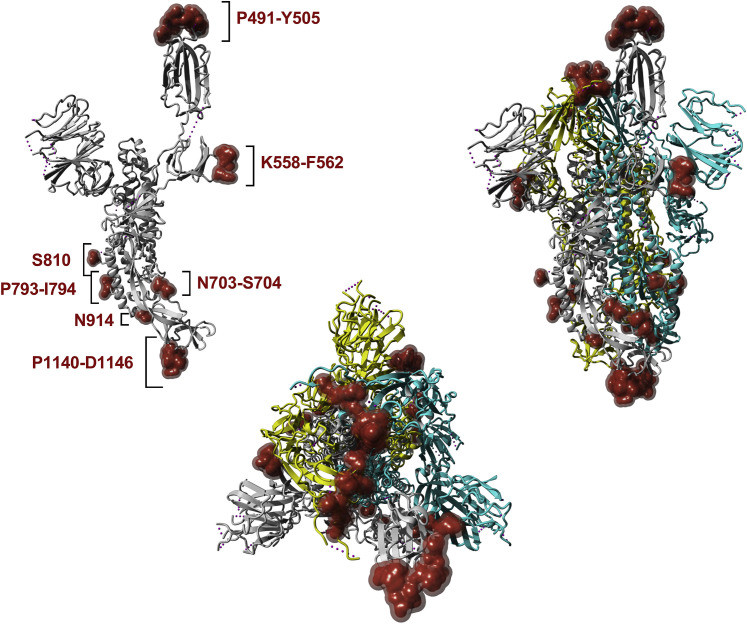 Figure 3