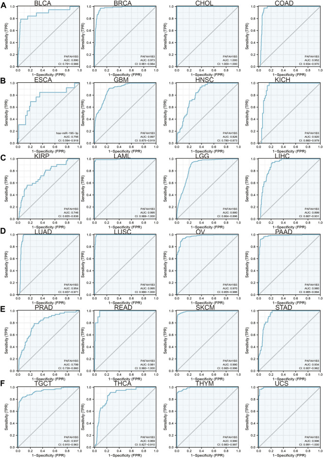 FIGURE 3