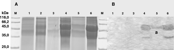 FIG. 7.