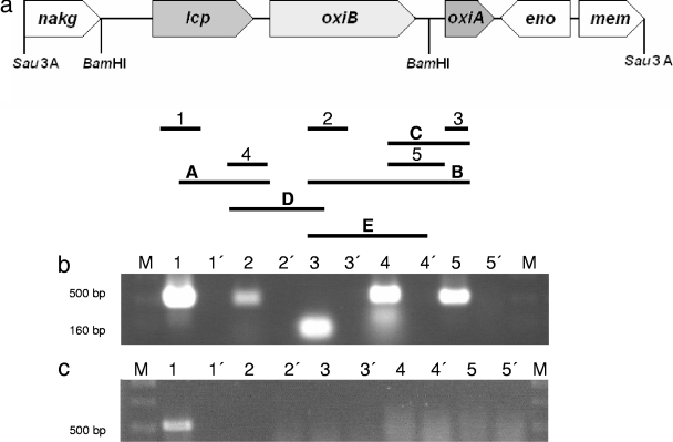 FIG. 4.