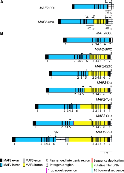 Figure 4.—