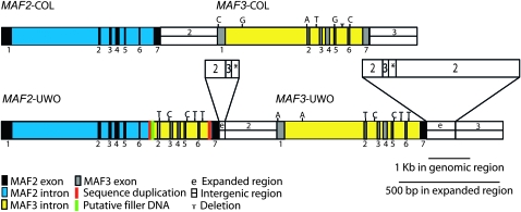 Figure 3.—