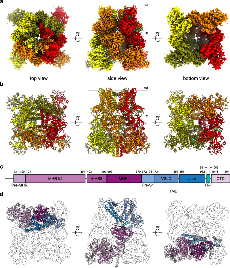 Fig. 1