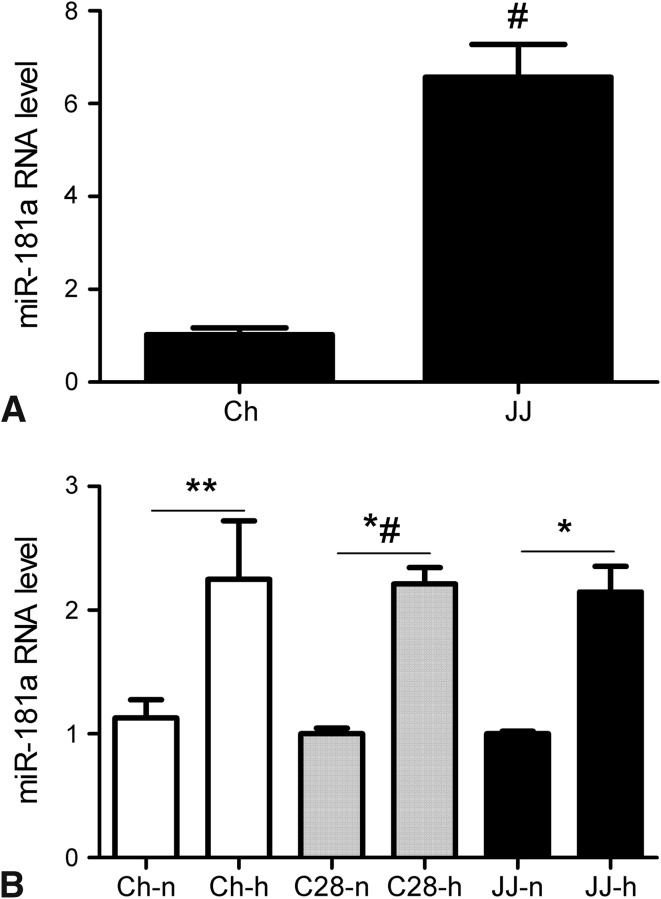 Fig. 2A–B