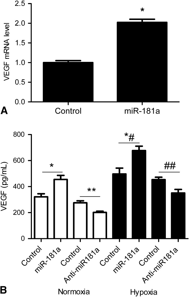 Fig. 4A–B