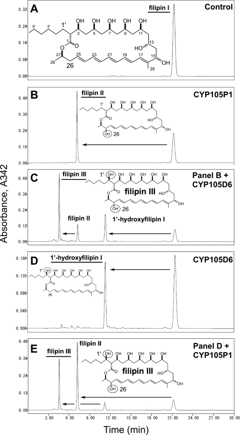 FIGURE 1.