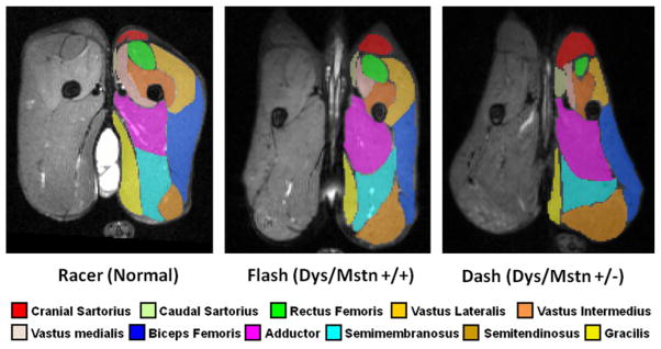 Fig. 7