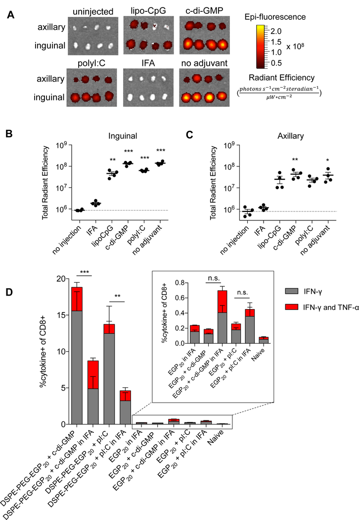 Figure 6: