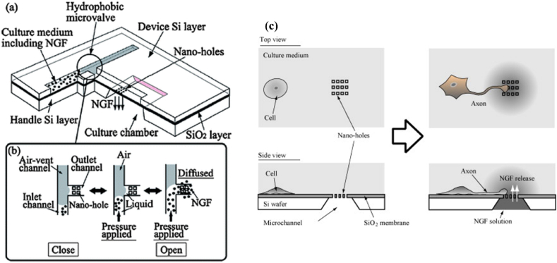 Fig. 11