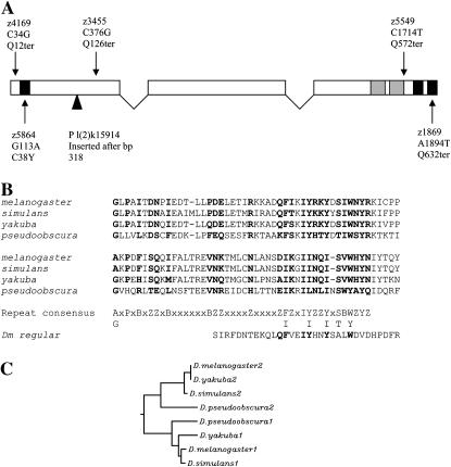 Figure 1.—