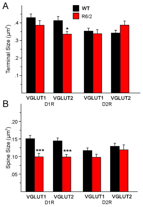 Fig. 11